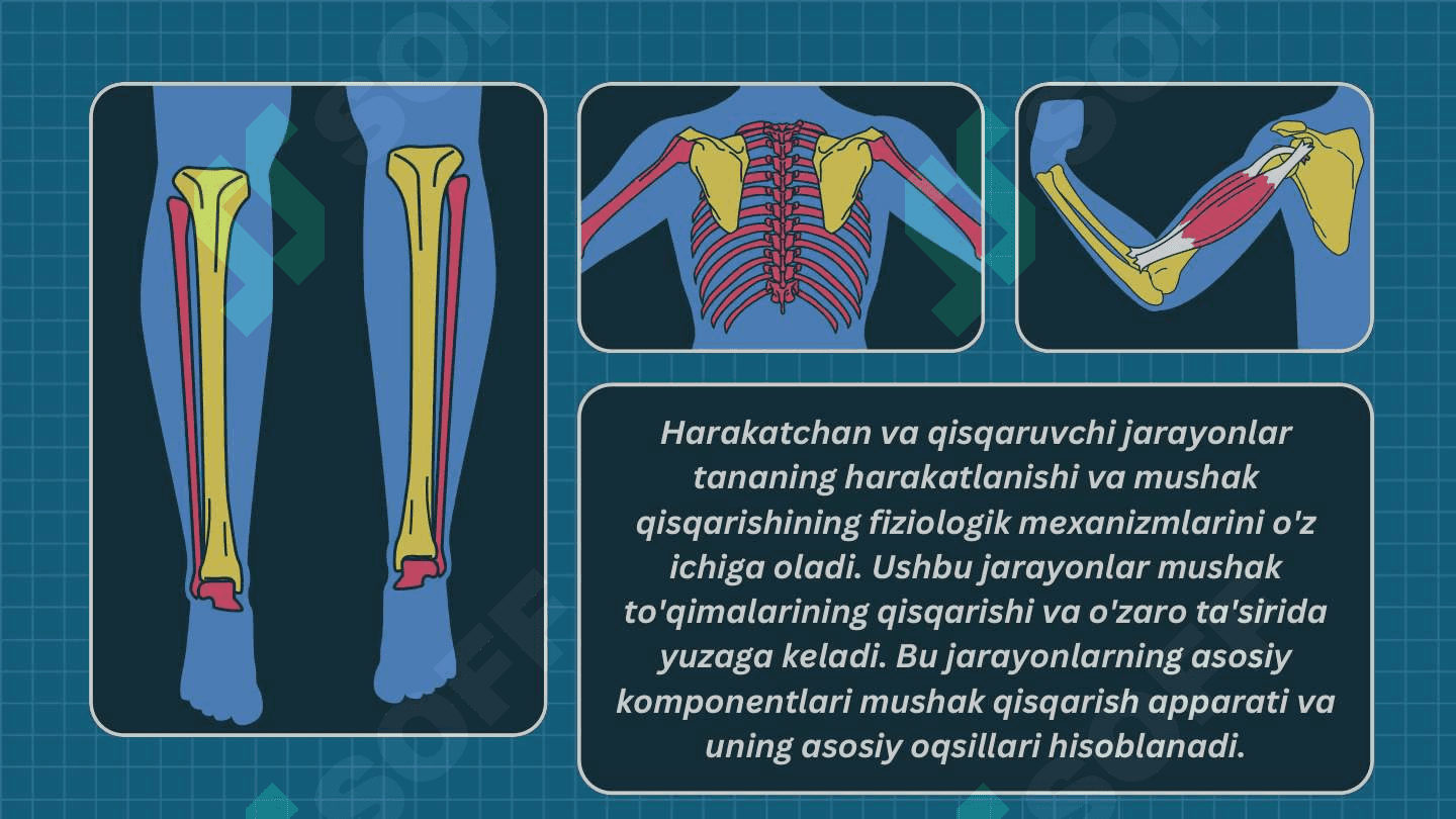 Harakatchan va qisqaruvchi jarayonlar. 6