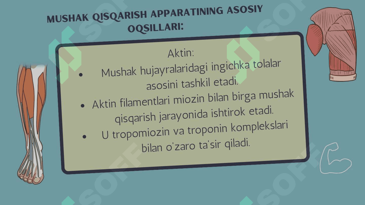 Harakatchan va qisqaruvchi jarayonlar. 7