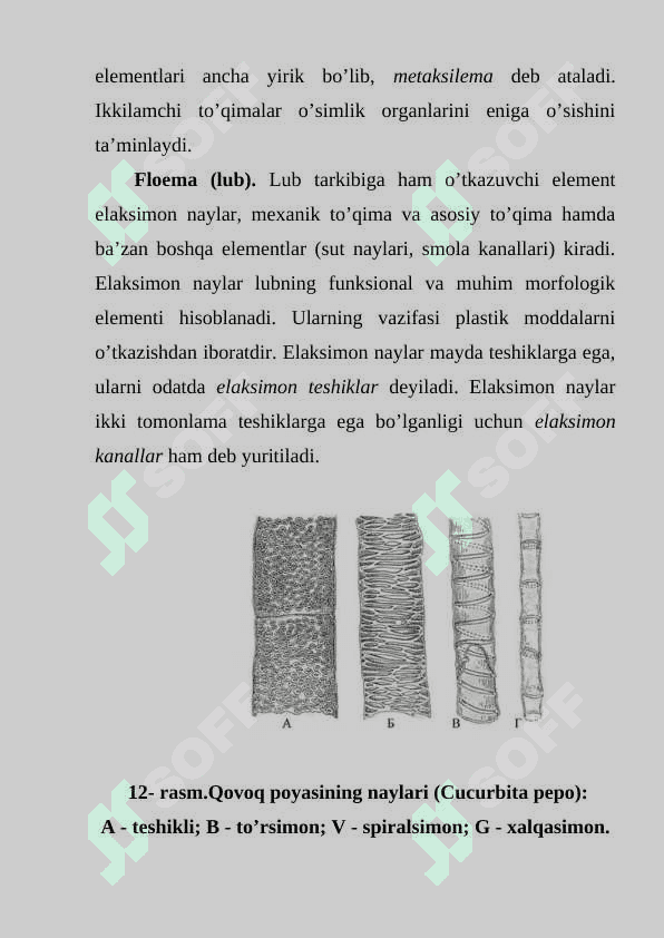 Maxanik va o'tkazuvchi to'qimalarning tuzilishi va vazifalari 4