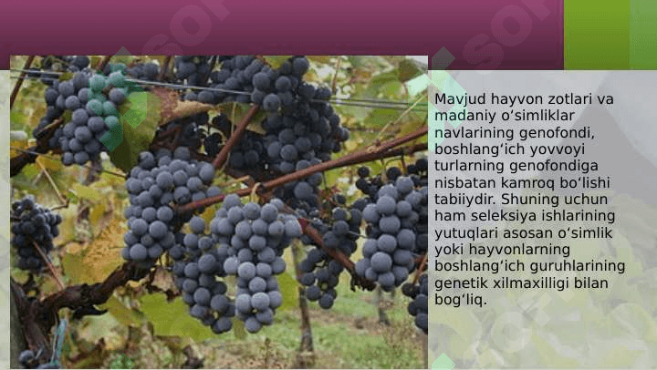 O'simliklarning kelib chiqish tarixi va organlarning paydo bo'lishi 2