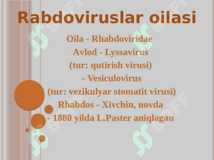 RАBDOVIRUSLАR. GEPАTIT VIRUSLАRI 2