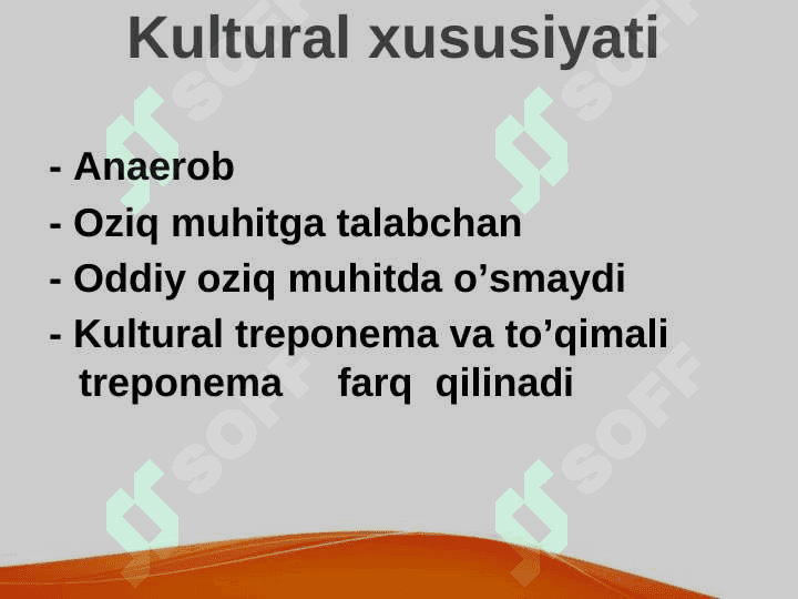 Patogen spiroxetalar.  Zaxm qoʼzgʼatuvchilari. Mikrobiologik xususiyatlari.  Rikketsiozlar. Toshmali tif qoʼzgʼatuvchilari 6