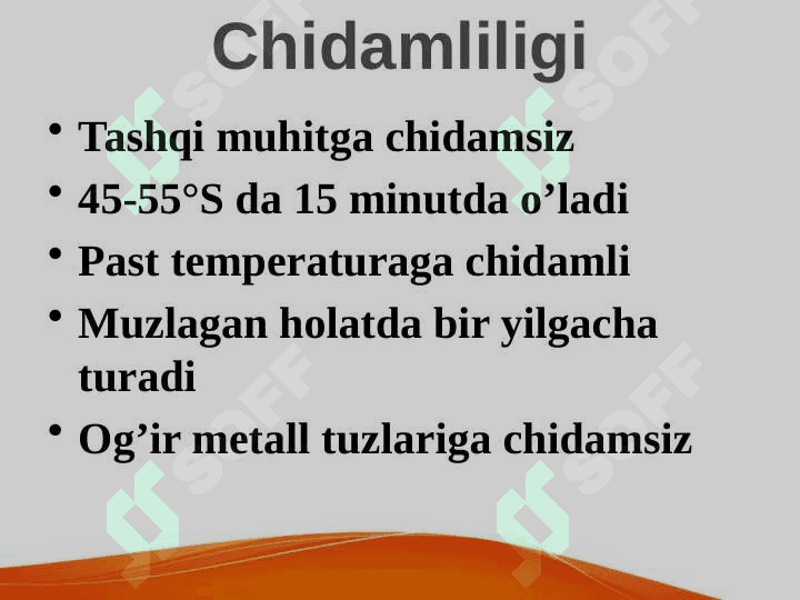 Patogen spiroxetalar.  Zaxm qoʼzgʼatuvchilari. Mikrobiologik xususiyatlari.  Rikketsiozlar. Toshmali tif qoʼzgʼatuvchilari 8