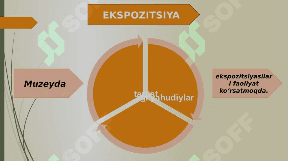 SAMARQAND VILOYATI O'LKASHUNOSLIK MUZEYI 6