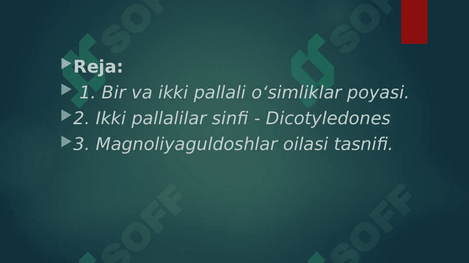 Botanikada Bir va ikki urug’ pallali o‘simliklarning poyalarini tuzilishi 3