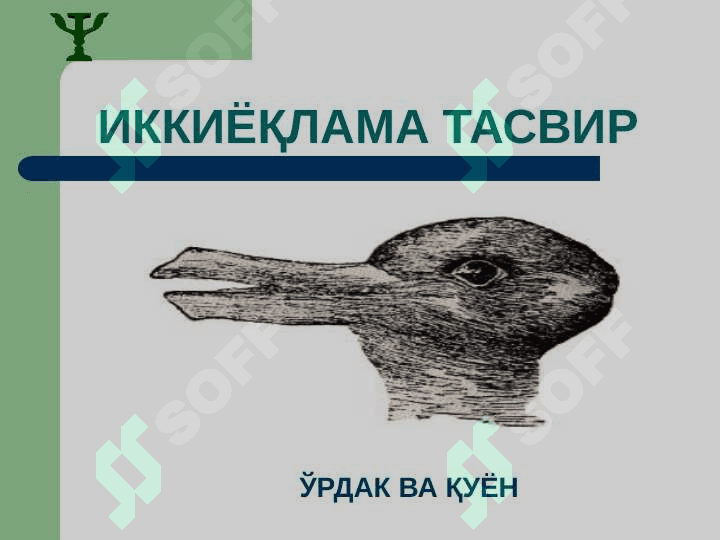 Idrok fenomenlari 2
