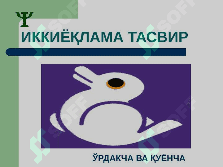Idrok fenomenlari 3