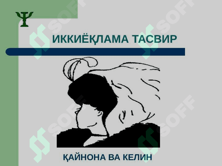 Idrok fenomenlari 4
