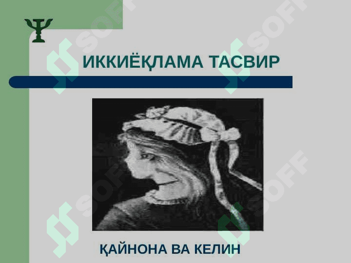 Idrok fenomenlari 5