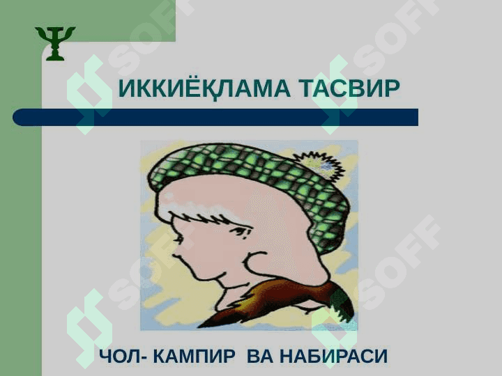 Idrok fenomenlari 6