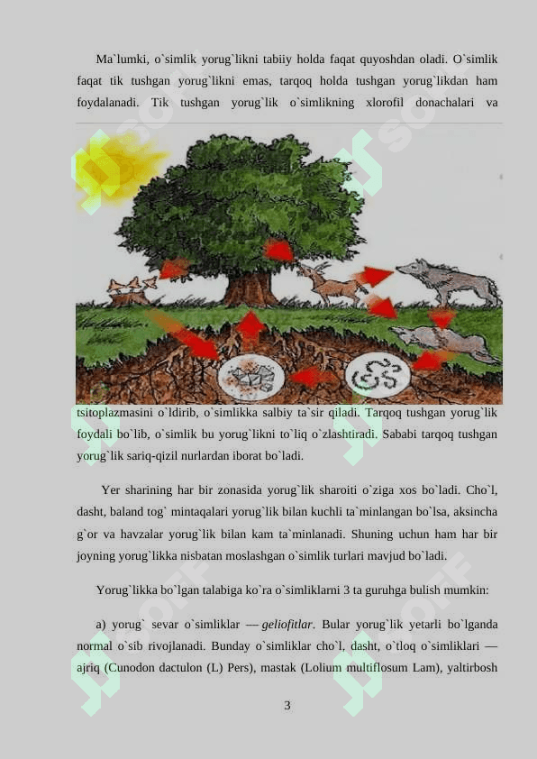 Hayvonlarning o`simliklarga ta`siri 3