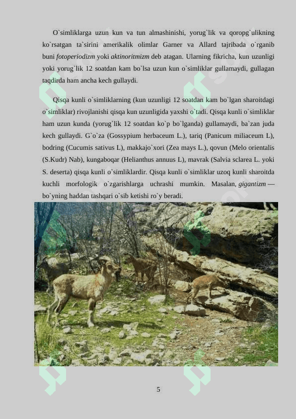 Hayvonlarning o`simliklarga ta`siri 5