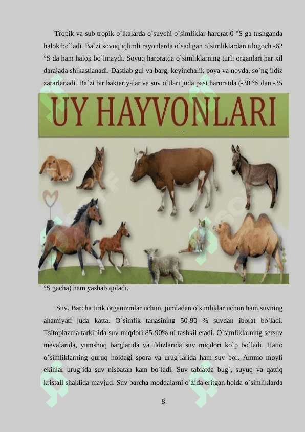 Hayvonlarning o`simliklarga ta`siri 8