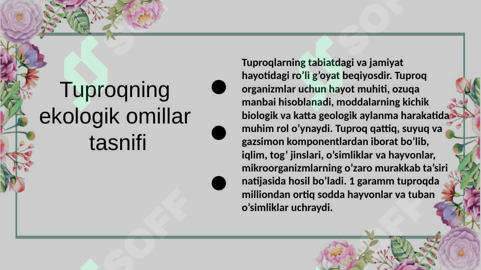 Tuproq ekologik omil sifatida 2