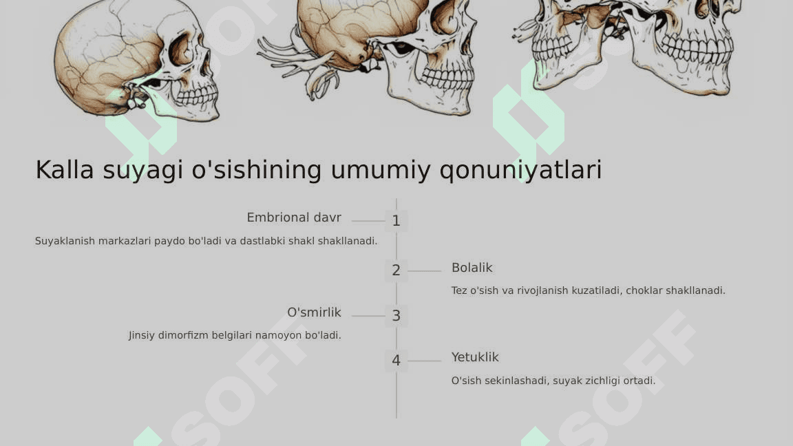 Kalla suyagining yoshi va jinsiy tafovutlari 4