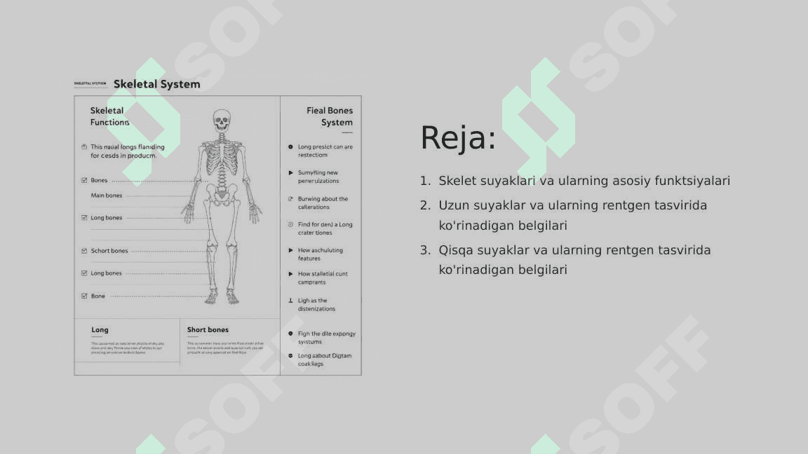 Skelet suyaklarining rentgenanatomiyasi 2