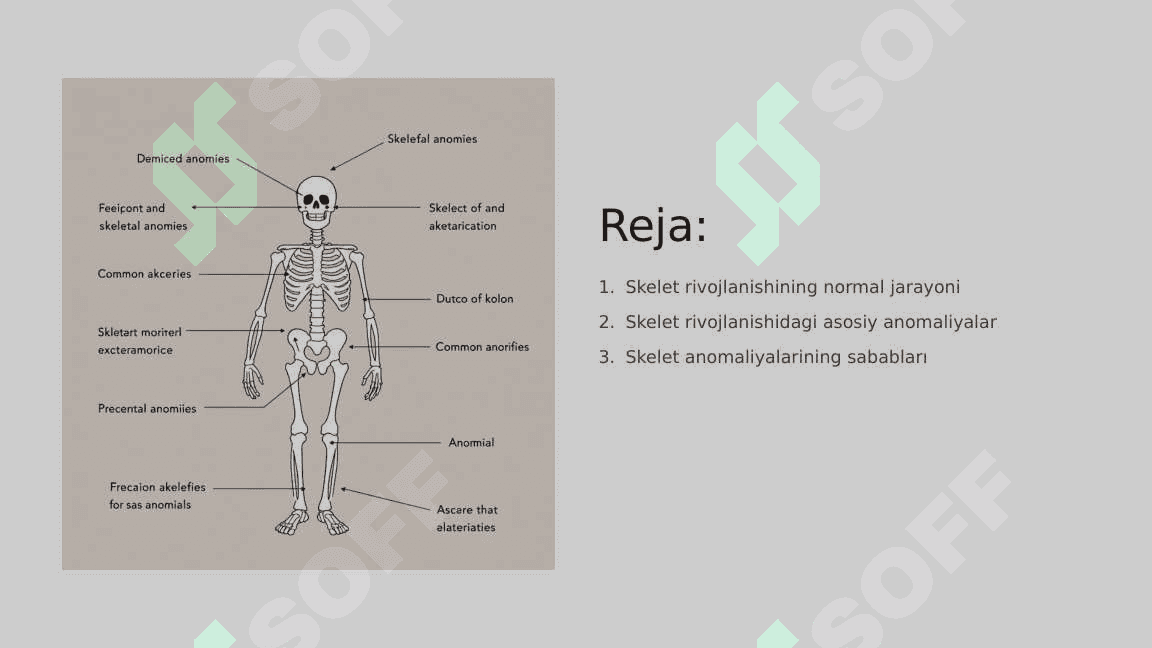 Skeletning rivojlanish anomaliyalari 2