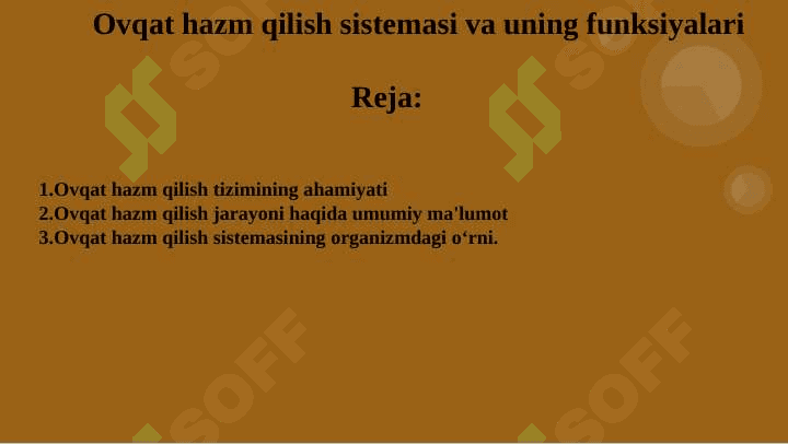 Ovqat hazm qilish sistemasi va uning funksiyalari 2