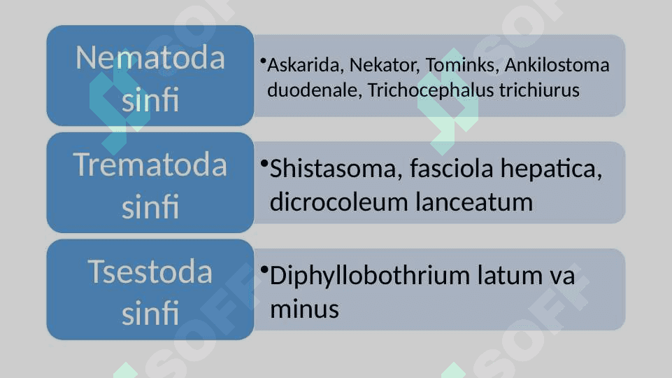 Gelmintoz klinik laborator diagnostikasi 3