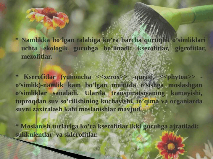 Namlik ekologik omil sifatida 7