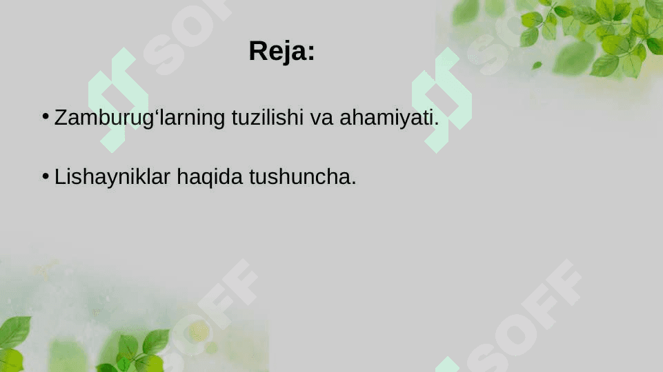 Zamburug‘lar va lishayniklar bo‘limlari 2