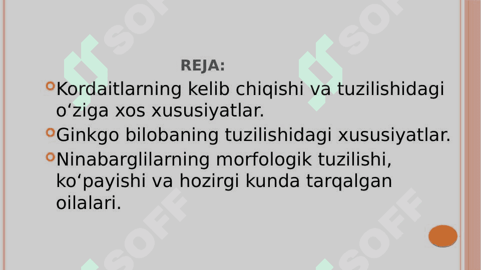 ochiq urug‘lilar (Pinophyta) bo‘limi 2