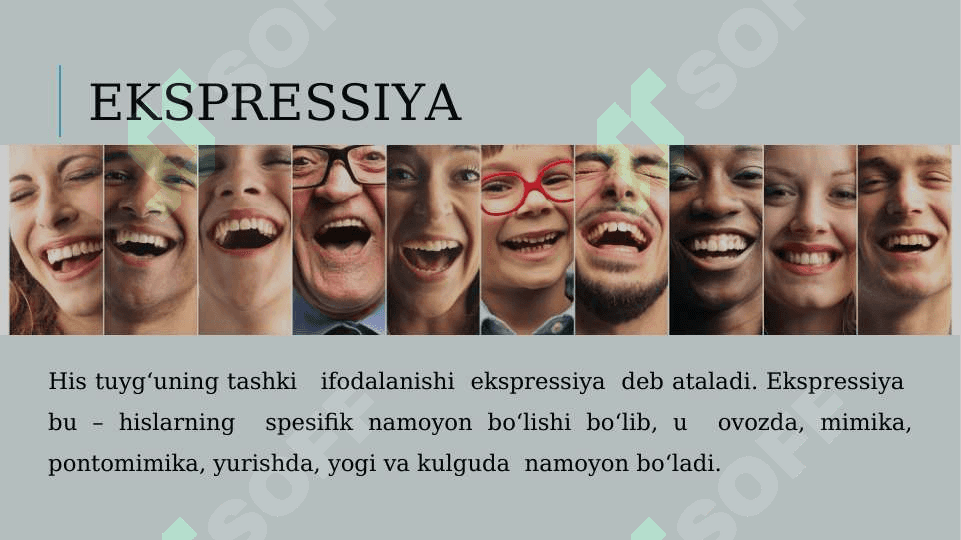 Hissiyot haqida tushuncha 6