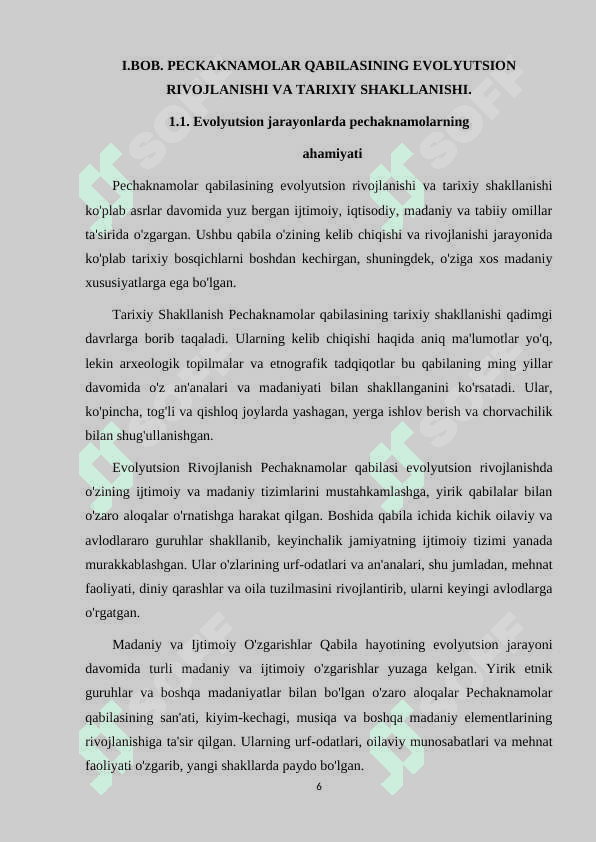 PECHAKNAMOLAR QABILASI 6