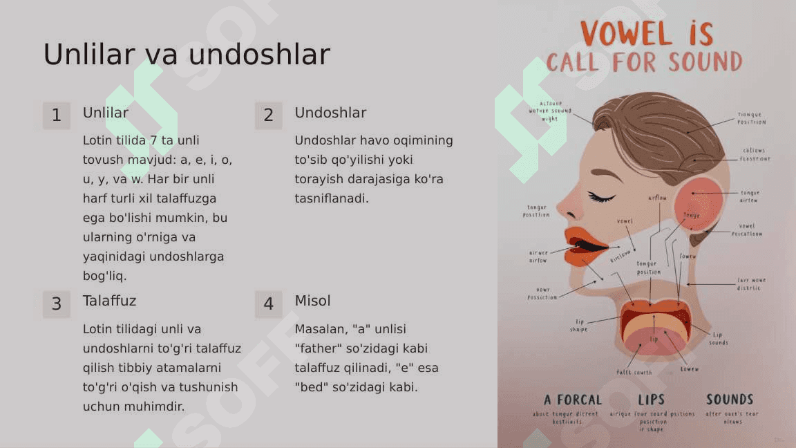 Tibbiyot terminologiyasiga kirish. Lotin alifbosi. Unlilar va undoshlar.Lotin tili tarixi.Stress qoidalari.Zamonaviy tillarda lotinizmlar 4