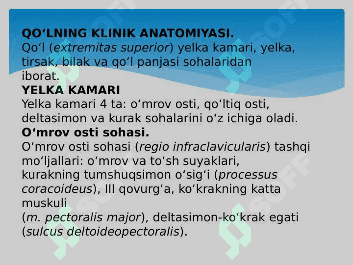 Qo‘lning kilinik anatomiyasi, yelka kamari, bilak, qo‘l panjasi tuzulishi 2