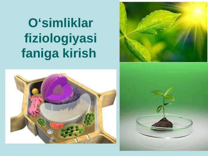 O‘simliklar fiziologiyasi faniga kirish