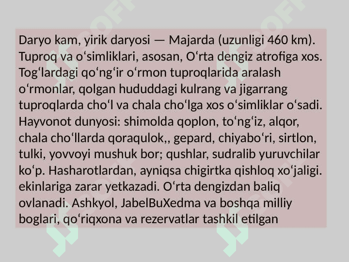 Tunis 4