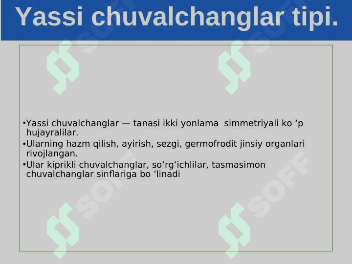 Yassi chuvalchanglar tipi. Kiprikli chuvalchanglar sinfi. 2