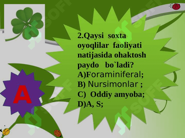 Xivchinlilar  sinfi. 3