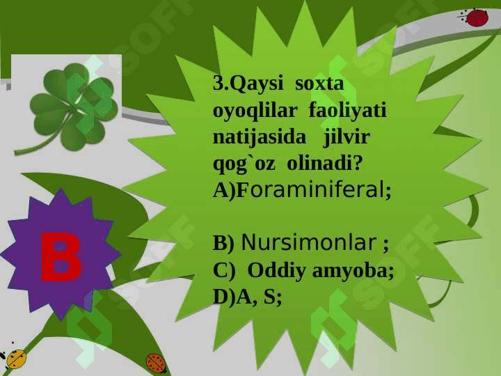 Xivchinlilar  sinfi. 4