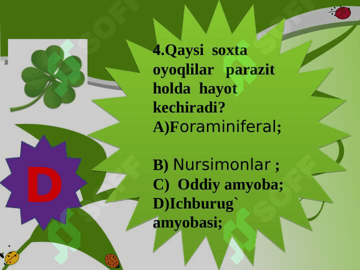 Xivchinlilar  sinfi. 5