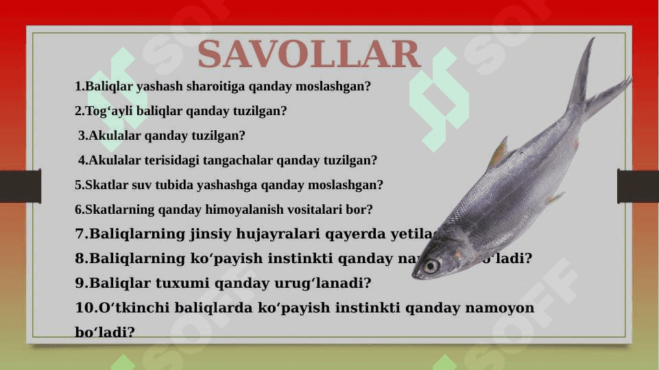 SUYAKLI BALIQLAR SINFI 7