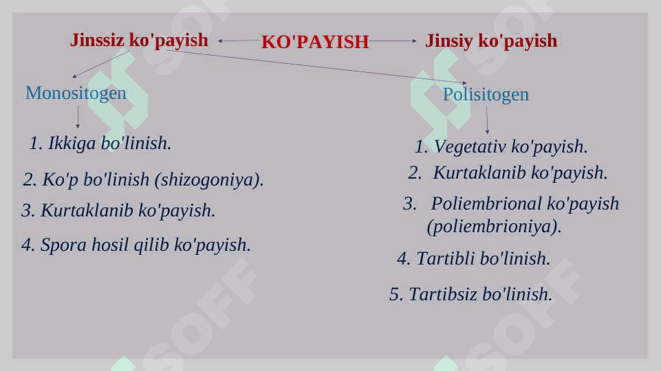 Ontogenez. Organizmlarning koʻpayishi 4