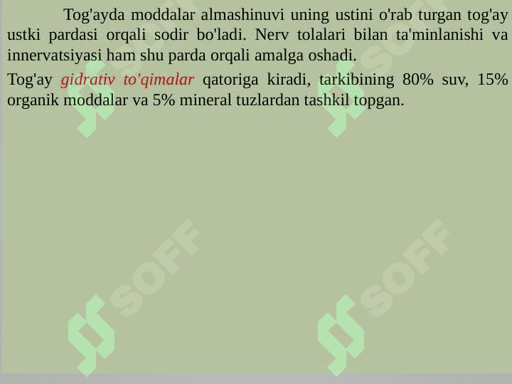 Tog’ay va suyak to’qimalari, hujayralari va oraliq modda tuzilishi 4
