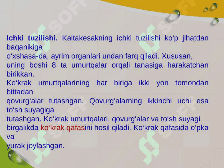 Reptilyalar-sudralib uruvchilar 4