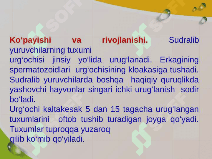 Reptilyalar-sudralib uruvchilar 5