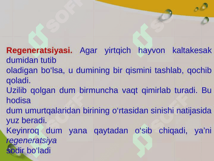 Reptilyalar-sudralib uruvchilar 6