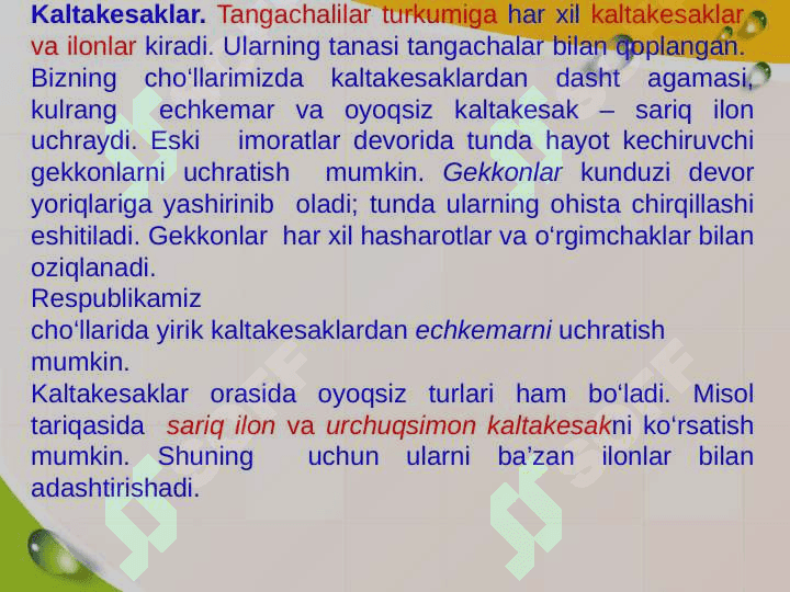 Reptilyalar-sudralib uruvchilar 7