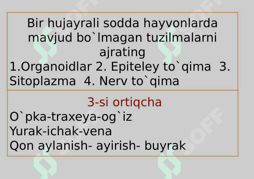 Sodda hayvonlar tipi Soxtaoyoqlilar sinfi 2