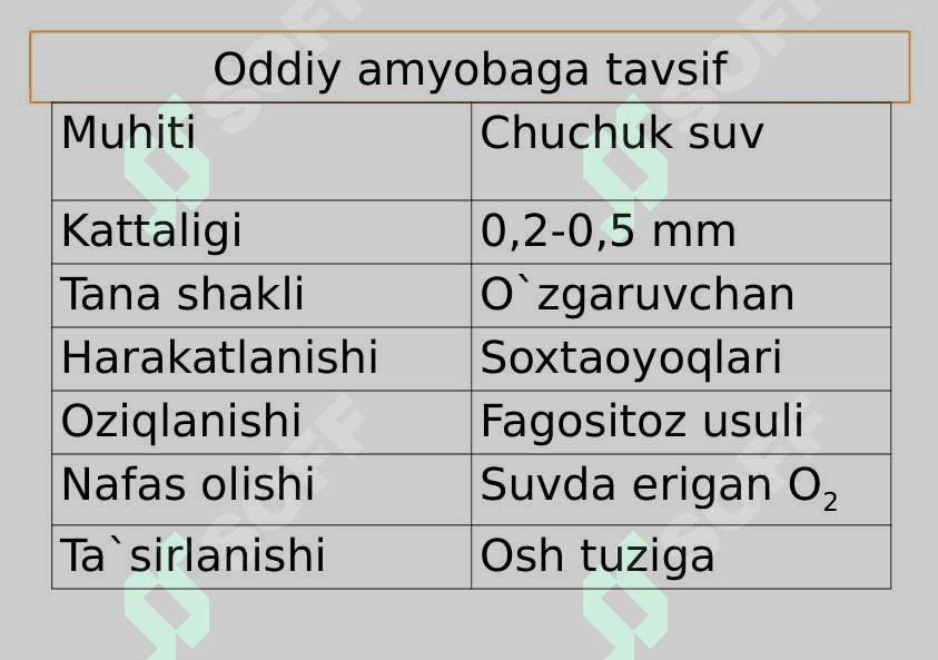 Sodda hayvonlar tipi Soxtaoyoqlilar sinfi 6