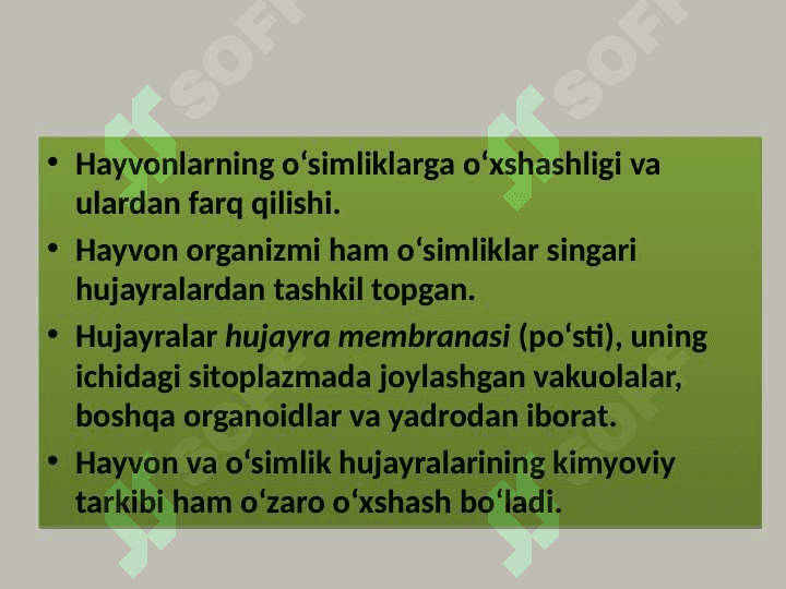 Hayvon organizmining tuzilishi, hayvonlarni klassifikatsiya  qilish. 2