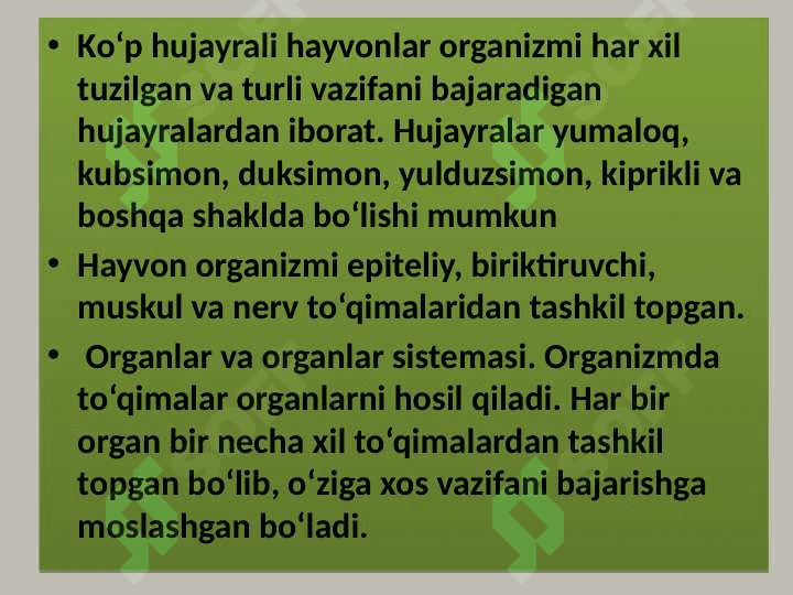 Hayvon organizmining tuzilishi, hayvonlarni klassifikatsiya  qilish. 4