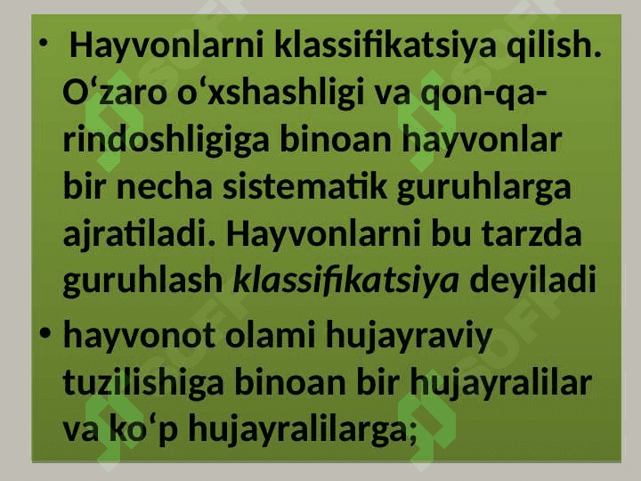 Hayvon organizmining tuzilishi, hayvonlarni klassifikatsiya  qilish. 6