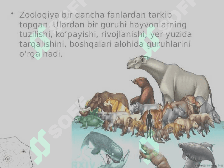 Zoologiya fani va uning vazifalari 3