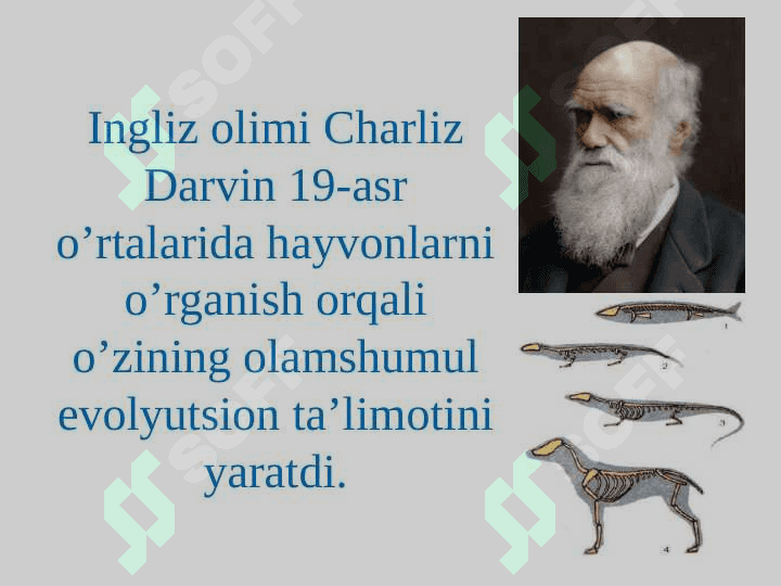 Zoologiya fani va uning vazifalari 7